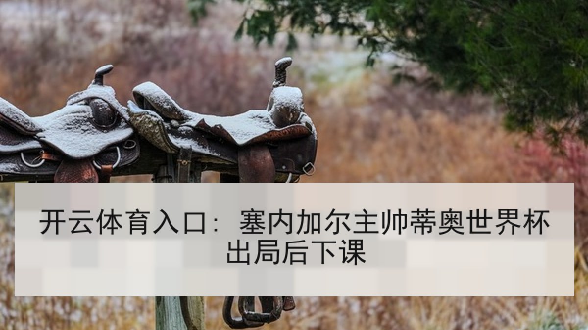 开云体育入口: 塞内加尔主帅蒂奥世界杯出局后下课 开云体育入口: 塞内加尔主帅蒂奥世界杯出局后下课